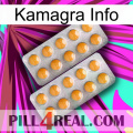 Kamagra Info levitra2
